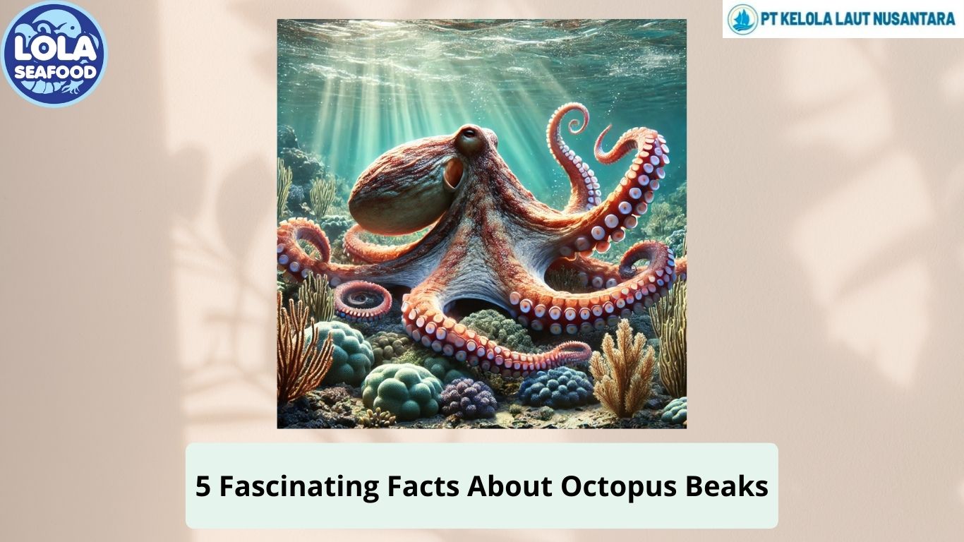 5 Fascinating Facts About Octopus Beaks